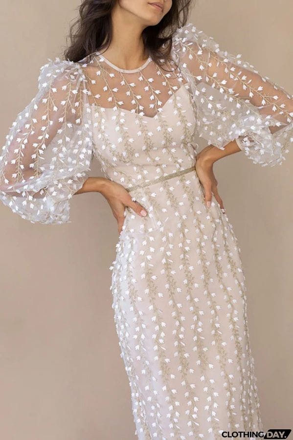 Floral Passions Embroidered Sheer balloon sleeve Fitted Midi Dress