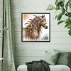 (Multi-Style)Horse-Partial Special Shaped Diamond Painting 30*30CM