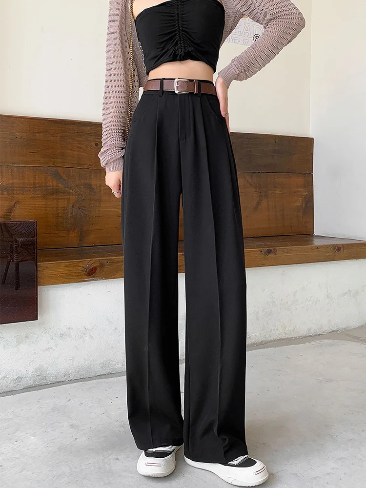 Toloer Narrow Version Wide Leg Pants Female Spring And Summer 2024 New High Waist Hanging Feeling Straight Tube Small Senior Sense Pressure Pleated Suit Pants-Outfit Ideas