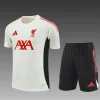 2025/2026 Liverpool Training Wear Set White Football Shirt 1:1 Thai Quality