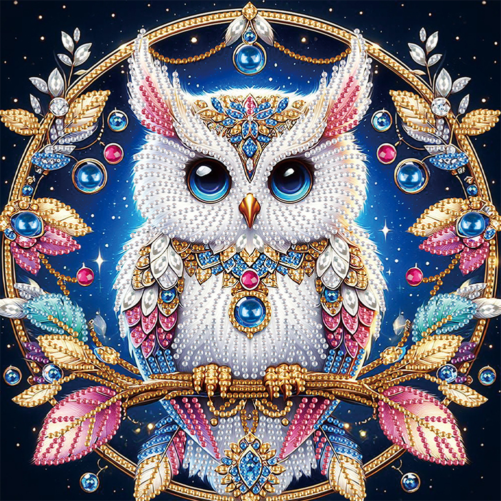 Owl 30*30cm(canvas) special shaped drill diamond painting
