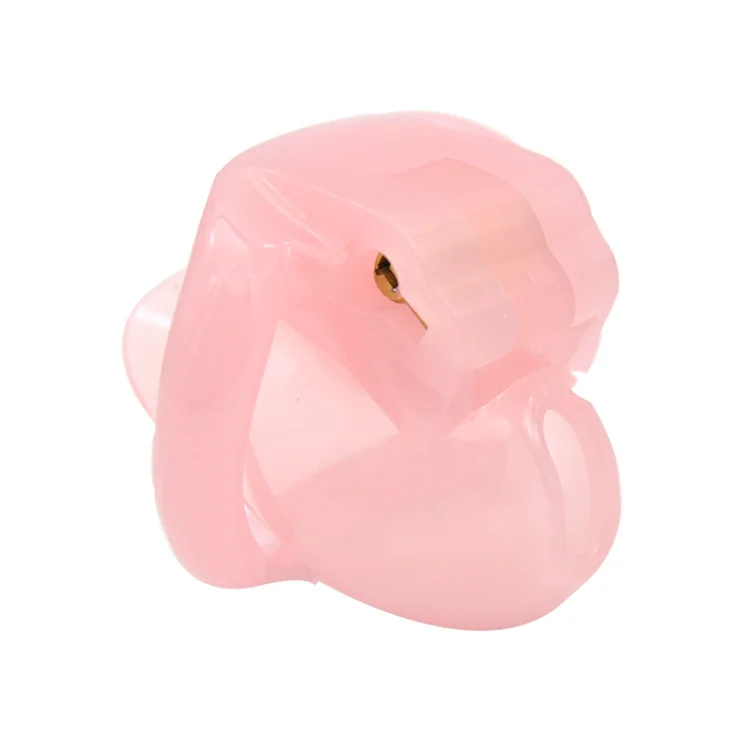 HOLY TRAINER HT V4 Sissy Chastity Cage  Weloveplugs