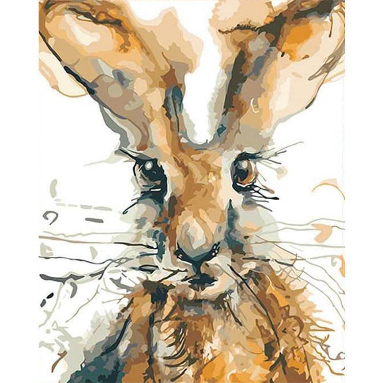 Rabbit - Painting By Numbers - 40x50cm