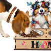 Bol en bois pour chien - 5d bricolage d&eacute;coration artisanale