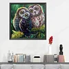 >SALE<48x48cm 11CT Cross Stitch Kit Stamped Canvas Needlework Owl Birds (CXB158)