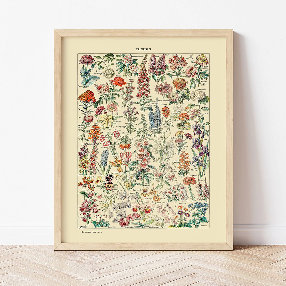 Vintage Aesthetic Papillions Monarch Butterfly Wildflower Flower Canvas Painting Mushroom Shroom Old Science Textbook Artwork