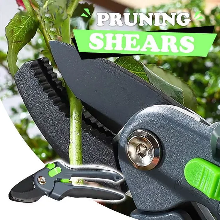 Pruning Shears