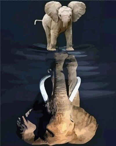 

Elephant Reflection – Paint By Numbers - 40*50CM, 501 Original