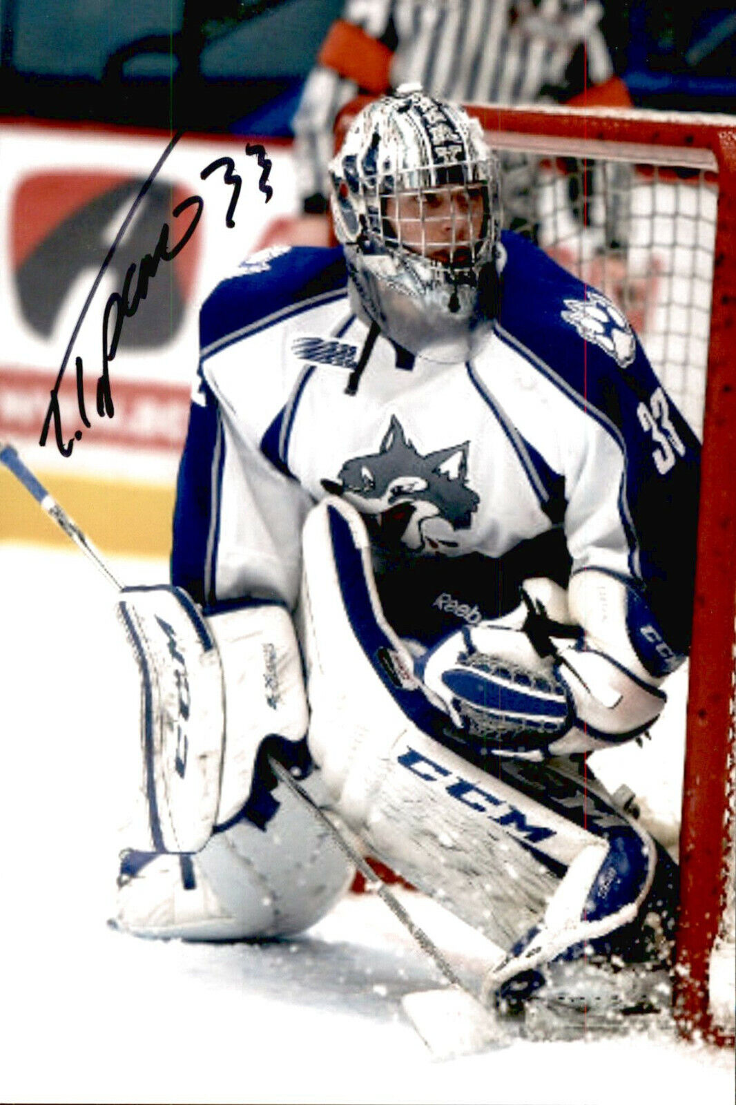 Troy Timpano SIGNED 4x6 Photo Poster painting SUDBURY WOLVES #2