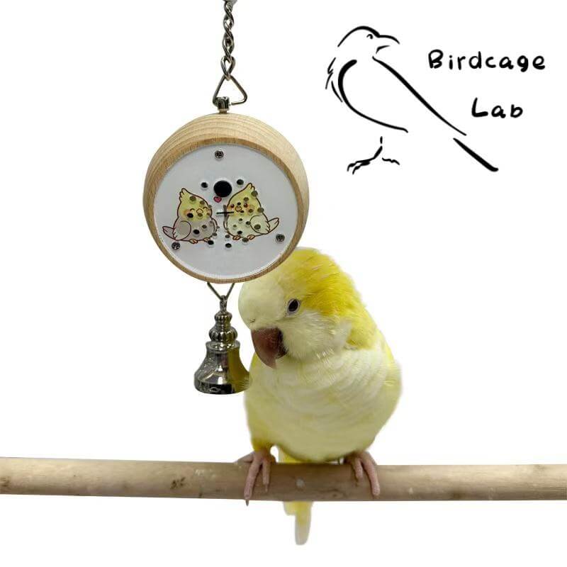 Parrot Talking Learning Machine Toys  Birdcagelab