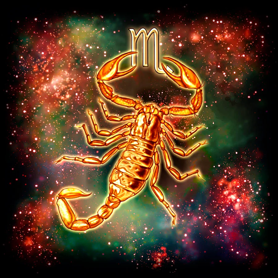 Diamond Painting - Full Round/Square Drill - 12 Constellation(30*30 - 50*50cm)