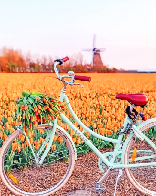 

Bike In Orange Tulips Field – Paint By Numbers - 40*50CM, 501 Original