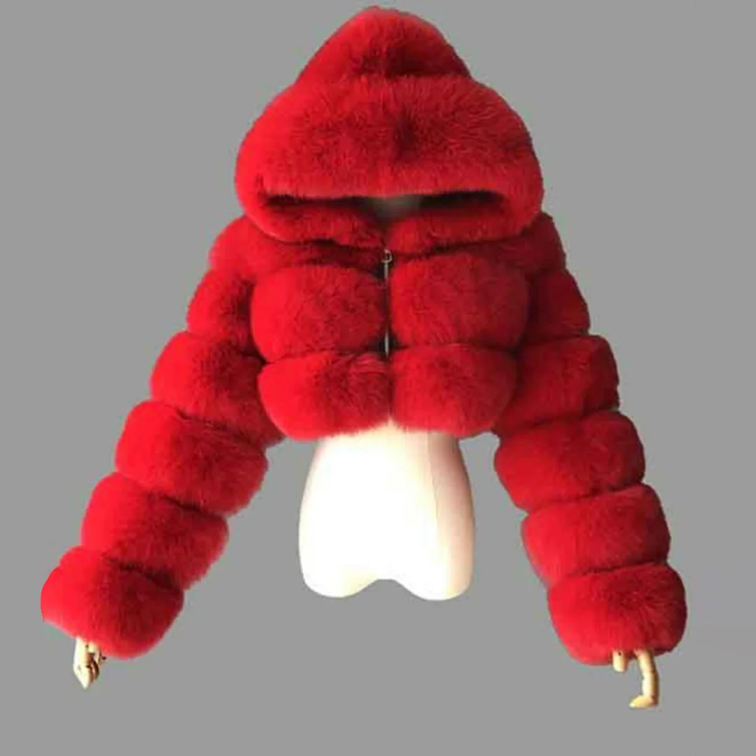 Women's Faux Fur All-Match Crop Jacket / DarkAcademias /Darkacademias