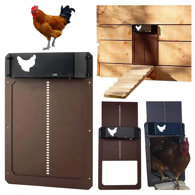 (🎉Flash Sale🎉- 48% OFF)-Automatic Chicken Coop Door