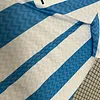 2024/2025 Retro Malaga 120th Anniversary Football Shirt 1:1 Thai Quality