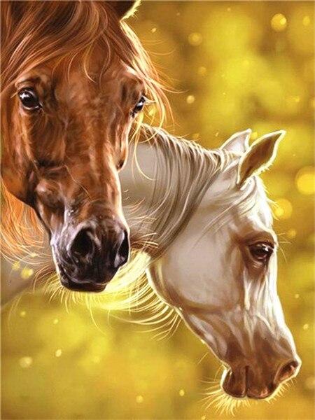 

Stallion Horses – Paint By Numbers - 40*50CM, 501 Original