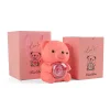 Eternal Rose Bear Jewelry Box with Necklace