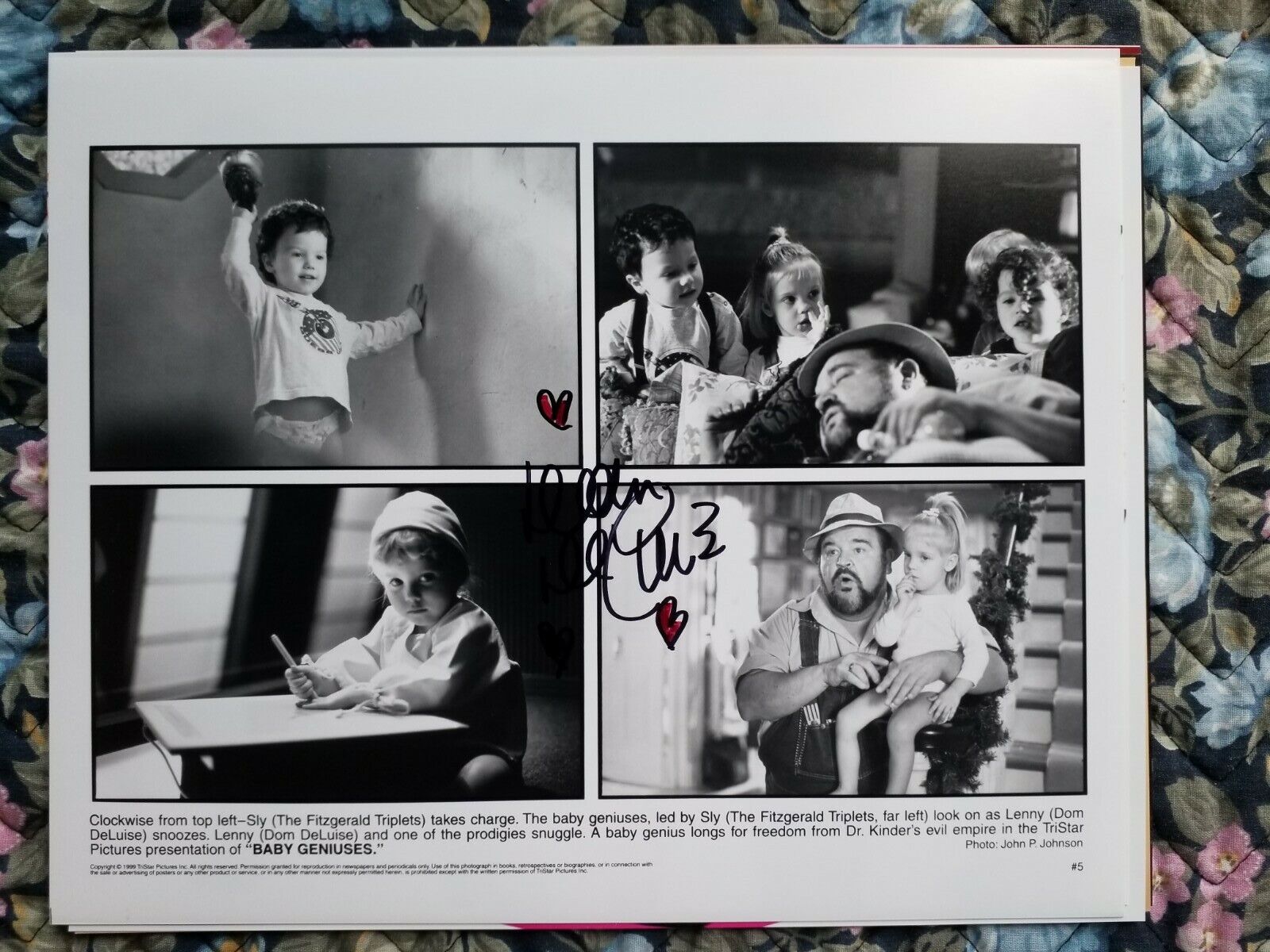 DOM DELUISE Authentic Signed AUTOGRAPH 8 x 10 Photo Poster painting