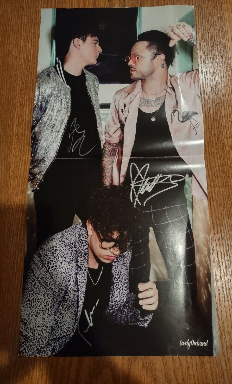 LOVELYTHEBAND SIGNED Poster Photo Poster painting Mitchy Collins