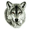 Wolf - 9CT Partial Beaded Cross Stitch Kit(28x34cm)