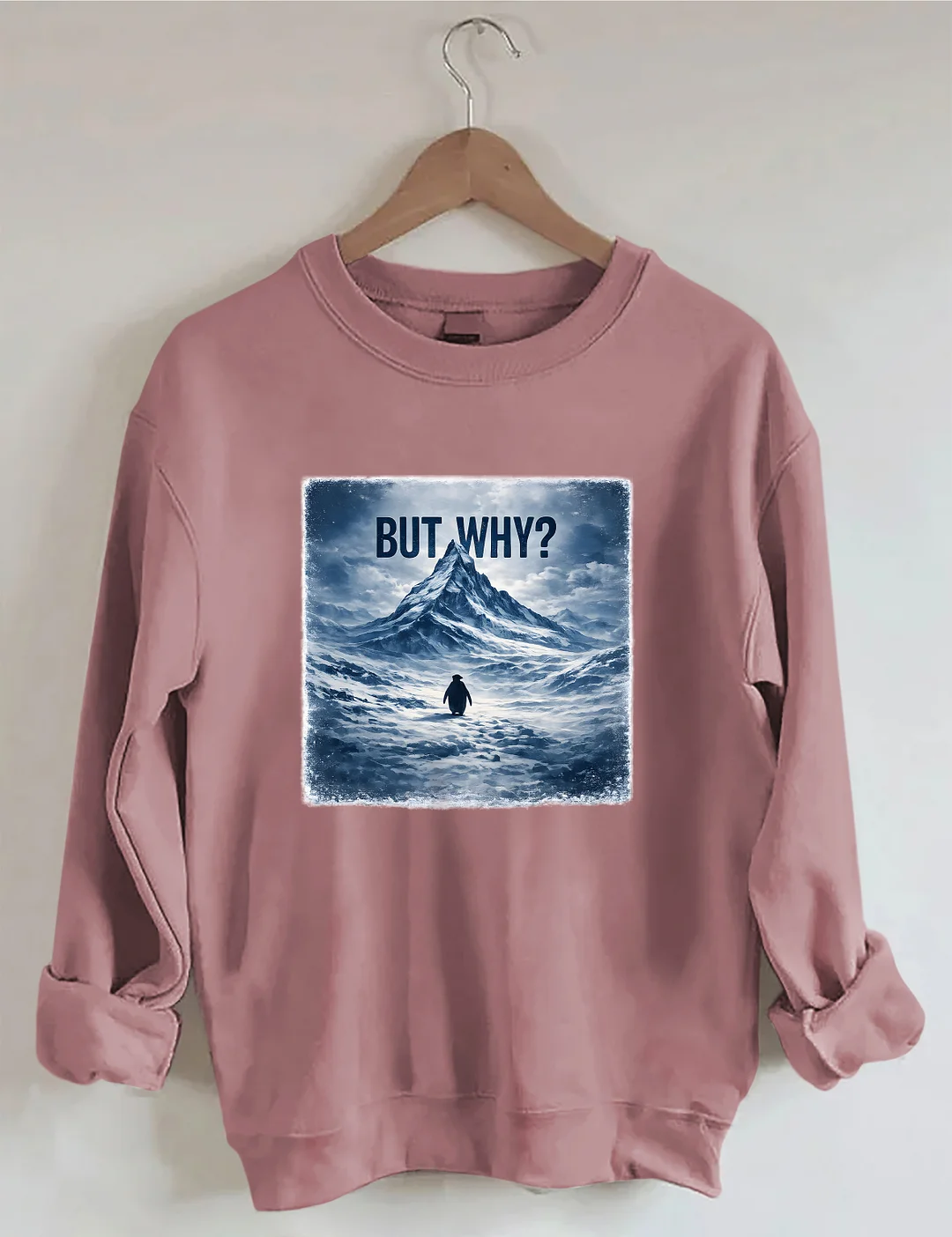 But Why Penguin Sweatshirt