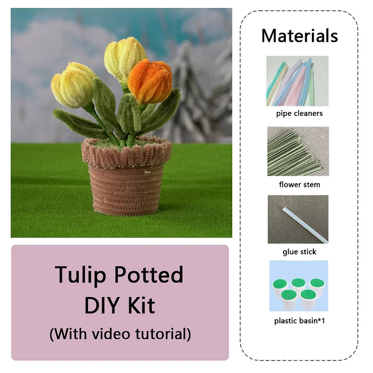 DIY Pipe Cleaners Kit - Tulip Potted