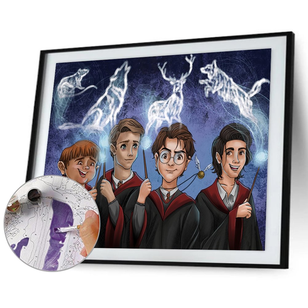 Harry Potter-Paint by Numbers 50*40cm