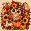 DIY Special Shape Diamond Painting Pearl Art With Inner Frame Kit 30x30cm(Owl Pumpkin)