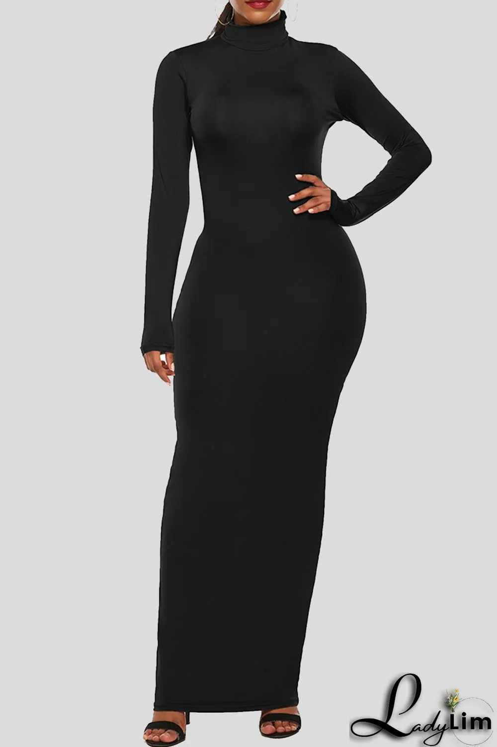 Black Fashion Casual Solid Basic Turtleneck Long Sleeve Dresses