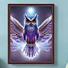 Diamond Painting -DIY Round Drill Owl