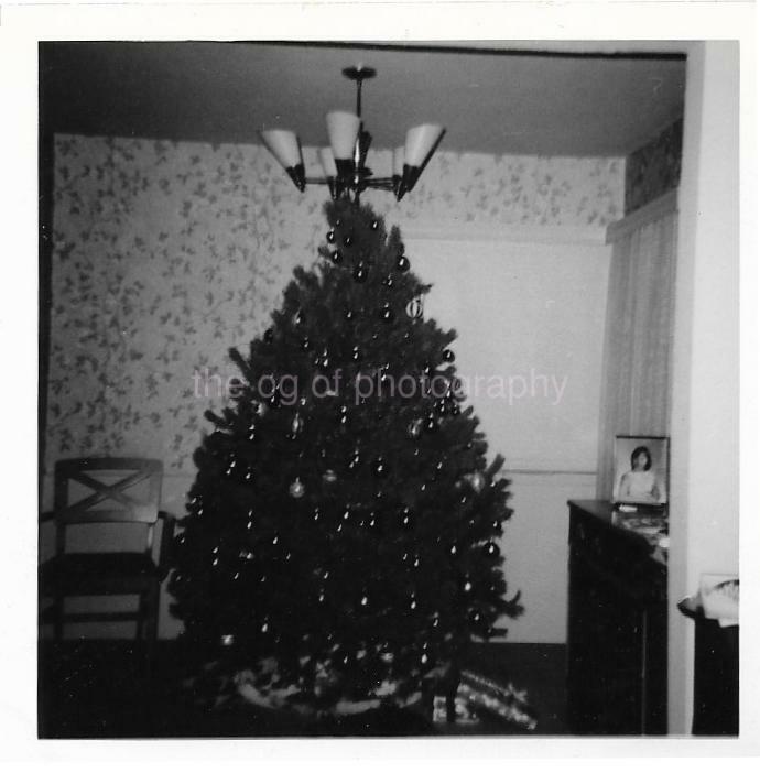 CHRISTMAS TREE Vintage FOUND Photo Poster painting b&wOriginal Snapshot 911 19 D