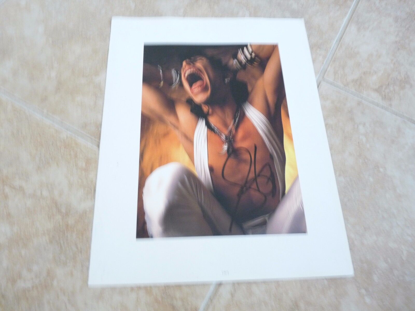 Steven Tyler Aerosmith Signed Autographed 11x14 Book Photo Poster painting PSA Guaranteed F1