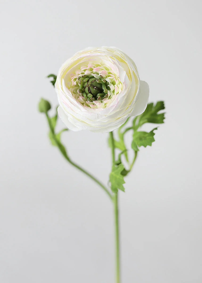 Silk Ranunculus in Cream - 13"