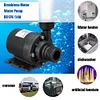 DC 12V/24V Immersible Pump 800L/h Water Immersion Pump 5.5 for Garden Fountain
