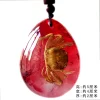 Insect Amber Pendant Natural Butterfly Specimen Insect Amber Necklace Children's Hanging Accessories