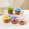4Pcs Potted Plants Crochet Kit DIY Crochet Starter Kit Crochet Set for Beginners