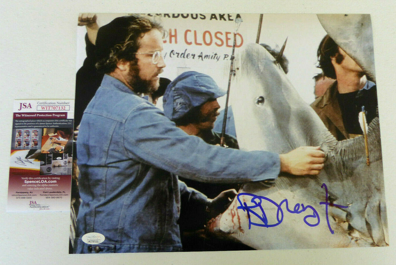 Richard Dreyfuss Authentic Signed 11x14 Photo Poster painting Autograph, Jaws, Hooper, JSA COA