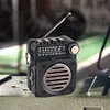Portable Radio Wireless BT Music Player FM AM SW Stereo Radio for Indoor Outdoor