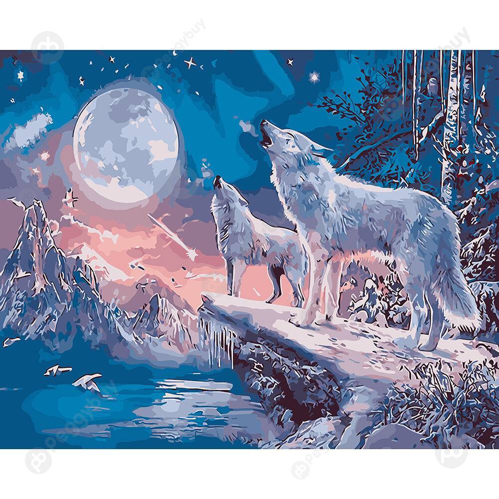 

50*40CM Paint By Numbers-Two Wolves, 501 Original