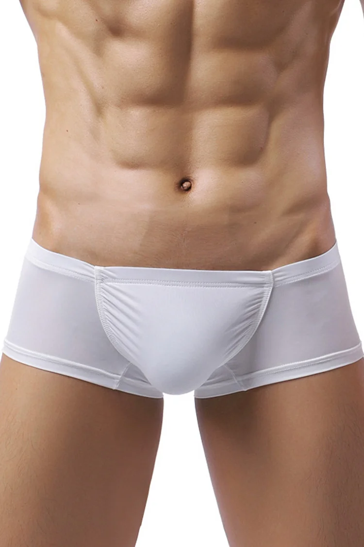 Solid Bodycon Stretchy Low Rise Briefs Boxers