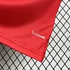 2026 Wales Home Football Shirt 1:1 Thai Quality