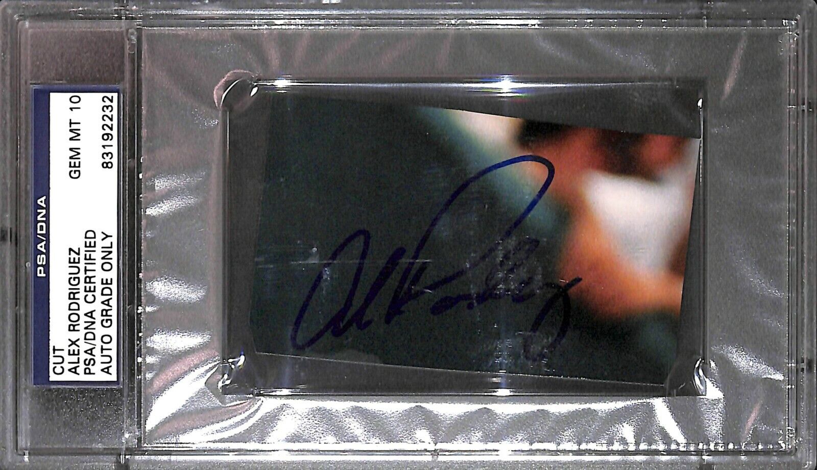 Alex Rodriguez Cut Photo Poster painting PSA/DNA COA Gem Mint 10 Autograph Yankees Baseball 1