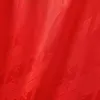 2024/2025 Flamengo Commemorative Edition Football Shirt 1:1 Thai Quality