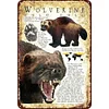 Wolverine - Vintage Metal Signs(12*16Inch)
