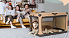 Dog Travel Crate Collapsible 4 Door Portable Soft Dog Crate, Foldable Dog Kennels and Crates for Indoor, Outdoor