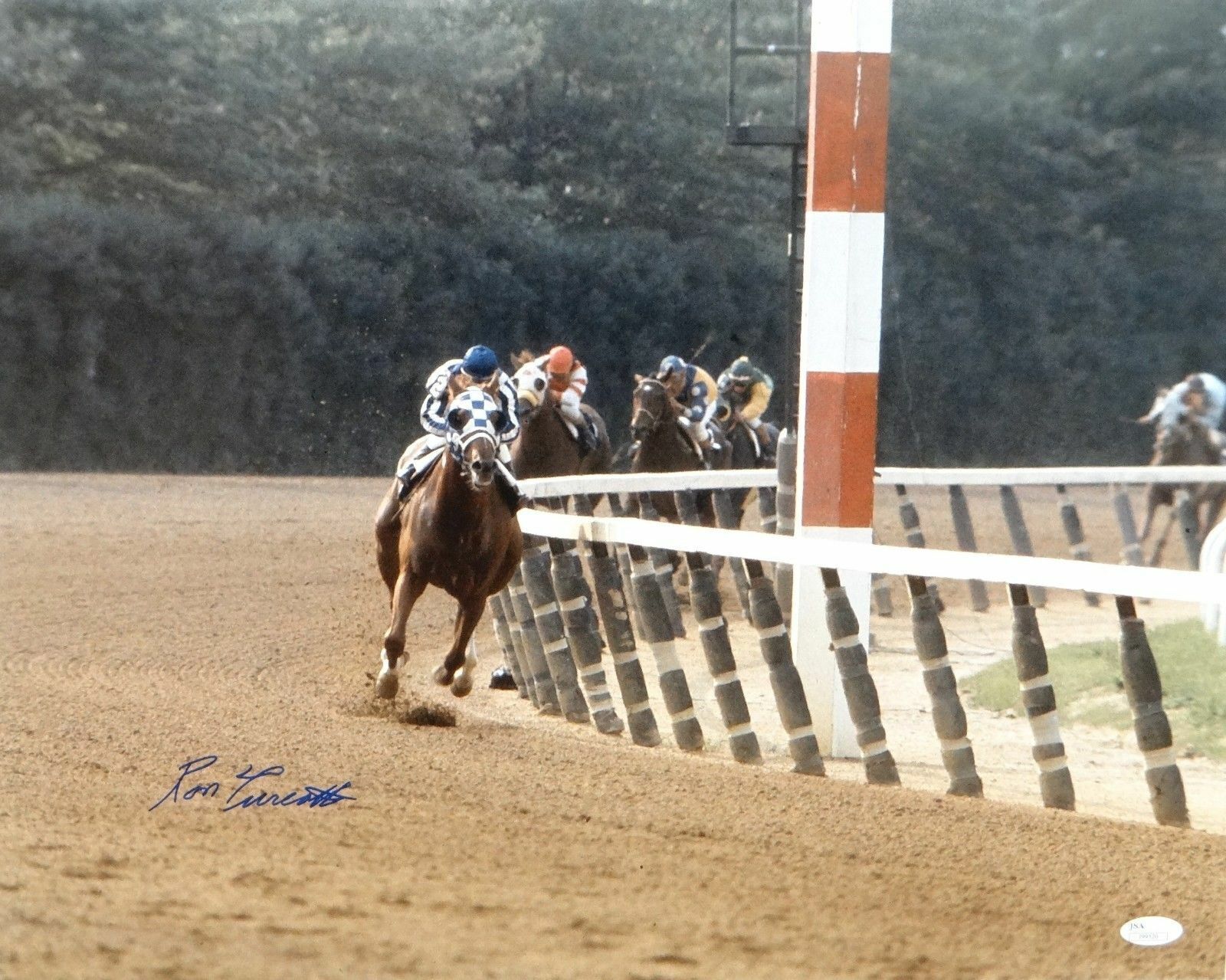 Ron Turcotte Autographed 16x20 Secretariat Racing Color Photo Poster painting- JSA Authenticated