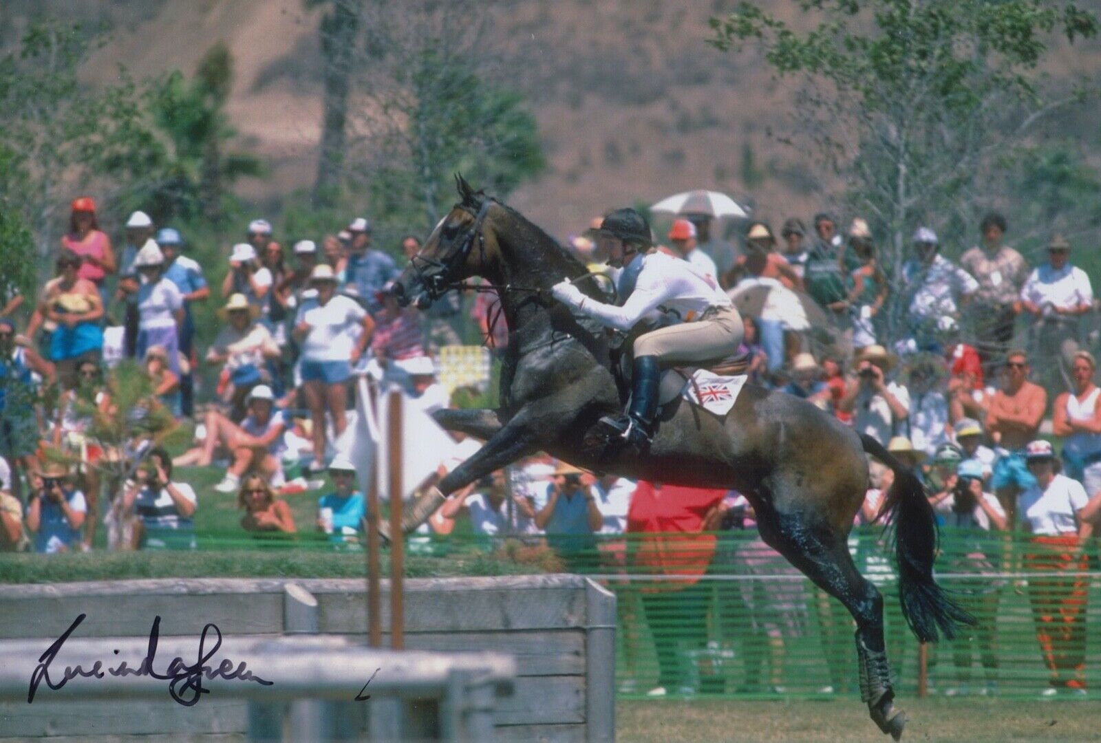 LUCINDA GREEN HAND SIGNED 12X8 Photo Poster painting OLYMPICS AUTOGRAPH 1984 LOS ANGELES 2