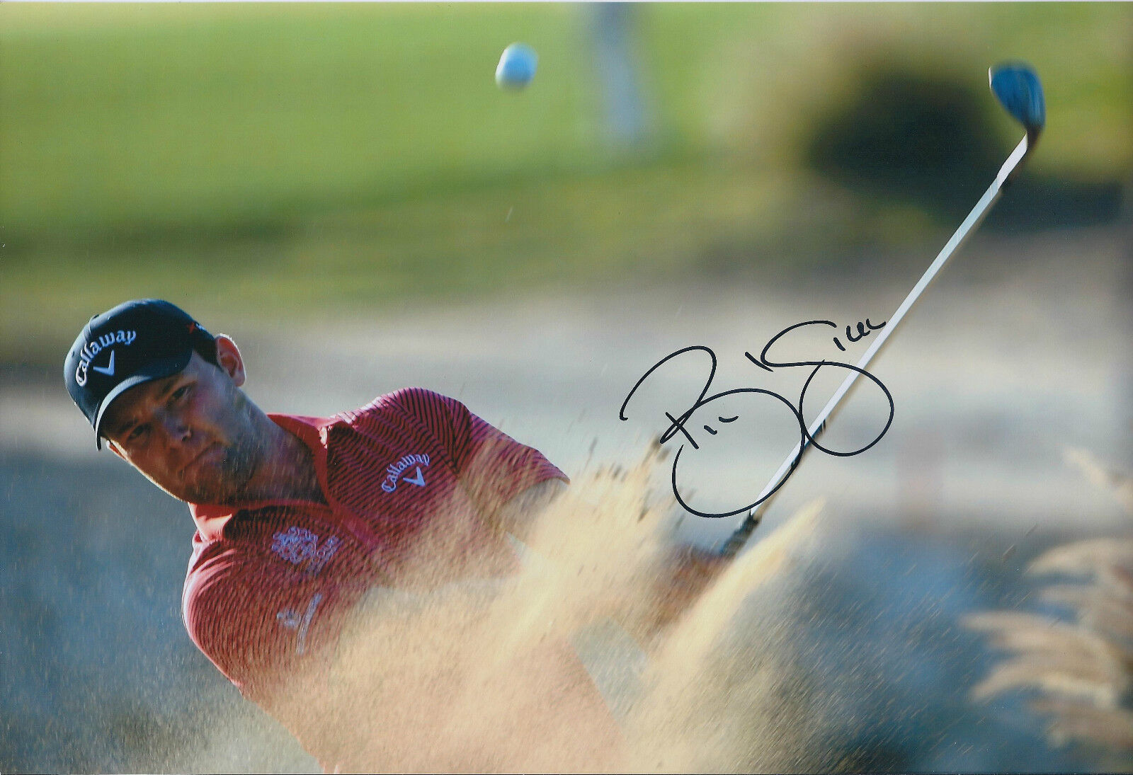 Branden GRACE SIGNED Autograph 12x8 Photo Poster painting AFTAL COA 2012 JOBURG OPEN Winner RARE