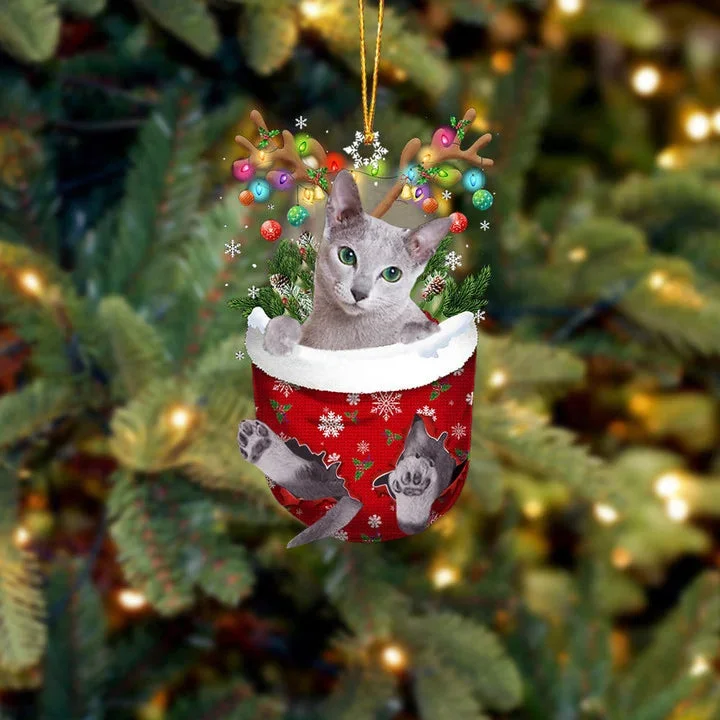 Cat 21 In Snow Pocket Christmas Ornament.