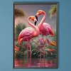 Flamingo-Full Round Diamond Painting 40*60cm